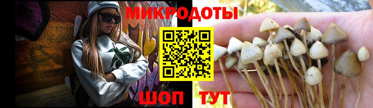 Галлюциногенные грибы мицелий  где найти   Белая Калитва  Вход с VPN 
